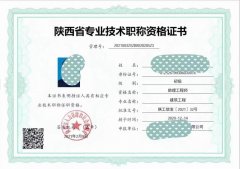 2022年陕西省职称申报评审工作通知