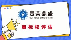 江西省南昌市品牌商标评估商誉价值评估无形资产评估