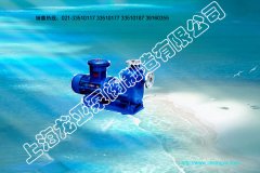 ZCQ50-40-250自吸磁力泵