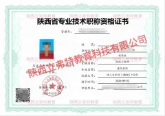陕西省2022年电气专业工程师职称的评审