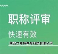 2022年陕西省zc评审申报要求和评定说明