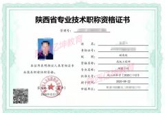 陕西省关于化工工艺工程师职称评审业绩要求