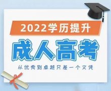 疫情当头，竞争越发的大
