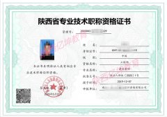 正规流程评陕西省2022年中级工程师
