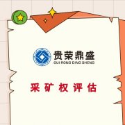 河南省周口市专利价值评估无形资产怎么评估价值
