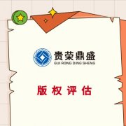 成都市简阳市知识产权实缴评估专利出资评估