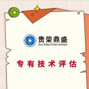 肇庆市企业技术出资评估知识产权评估专利出资评估