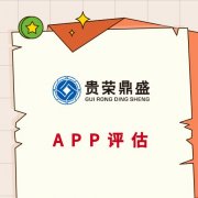 揭阳市网站评估APP评估营销网络评