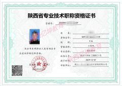 于陕西工程师职称评审公有制和非公有制的区别