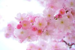 【6S目视化】精益6S管理的起源与发展