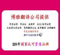 诉讼文件翻译-法院判决书翻译-深圳博雅多语言翻译公司