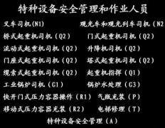 重庆市大渡口区 质监局电梯作业证到期了怎么复审哪里可以审 重