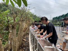 深圳坪山朋友聚会公司团建烧烤的农家乐