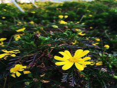 【目视化管理】5s目视化管理精益工具之——目视化管理