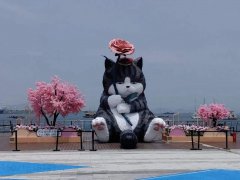 珠海大型植绒猫雕塑 大尾巴可爱动物摆件