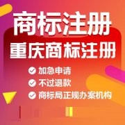 重庆两江新区代理记账，纳税申报，商标注册