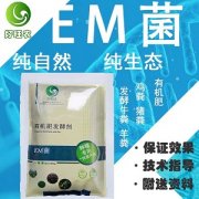 使用菜籽饼发酵做果树肥料可以吗