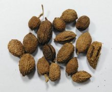 进口砂仁一站式报关