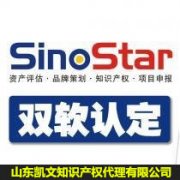 软件企业认定条件