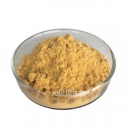 厂家直供乌梅粉食品级乌梅提取物