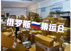腰带到莫斯科门到门物流公司