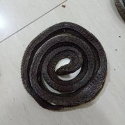 进口乌梢蛇报关流程