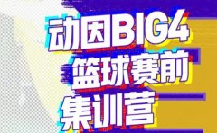 动因t体育BIG4少儿篮球赛前集训营