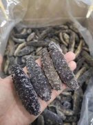 进口仿刺参需要的单据