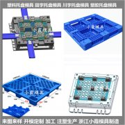 九脚托盘模具注塑模制造
