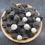 进口印度辣木籽通关材料