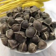 进口印度辣木籽通关手续