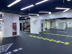 北京市东城区MMA自由搏击训练 和平之星三层这里学