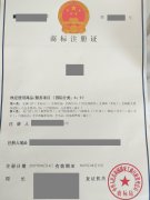 如何判定商标侵权及界定商标侵权中的商标使用