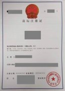 被抢注的商标，当事人怎样才能“抢”回来？