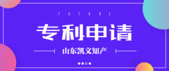 办理注销专利实施许可备案所需要材料