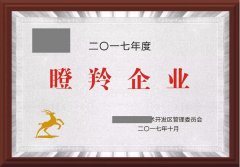 浅谈孵化器企业