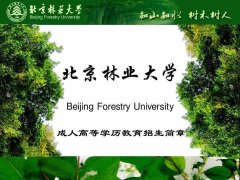 北京林业大学成考园林专业函授本科学历招生简介有学位