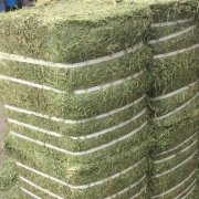 进口苜蓿草通关步骤详情