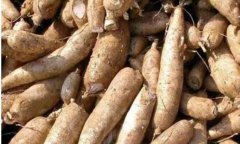 木薯进口通关主要的操作材料