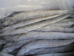 青岛进口冻带鱼经验总结
