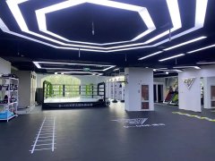 北京市东城区青少年拳击训练 和平里和平之星三层这里学