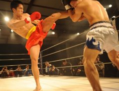 北京市东城区武术青少年散打 和平里和平之星三层这里学