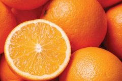 进口柑橘类清关
