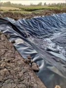 垃圾填埋场土工膜 藕池虾池防渗膜 HDPE光面土 工膜