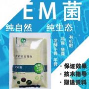 有没有处理玉米秸秆做肥料的发酵剂