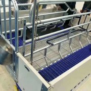 养殖场母猪欧式产床产保一体产床