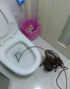 杏花岭区安装水龙头水管疏通马桶堵塞电话