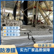 土工膜0.3mm0.4mm0.5mm