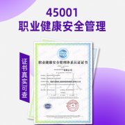 浙江ISO认证机构认证公司ISO45001认证三体系