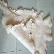 进口羊皮清关的八个注意点